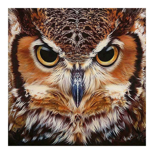 Owl - Full Round Drill Diamond Painting 50*50CM
