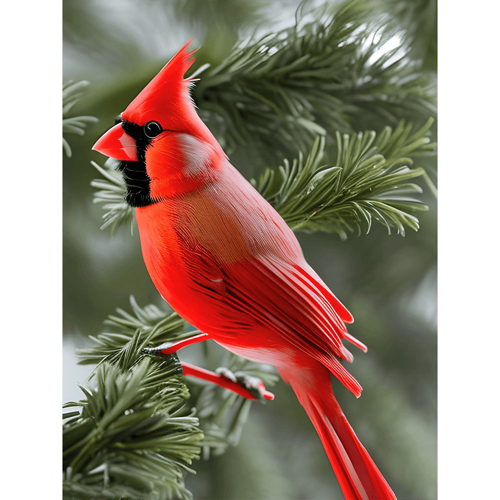 Cardinal - Full Round Drill Diamond Painting 30*40CM