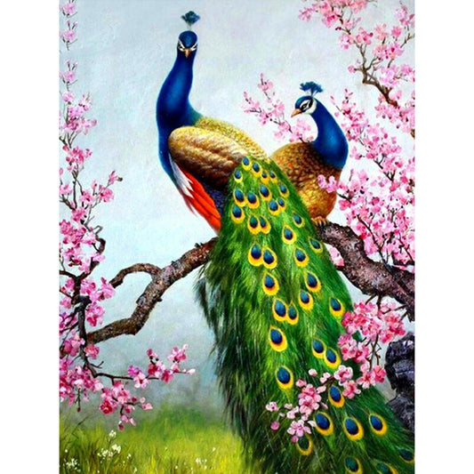 Peacock - Full Round Drill Diamond Painting 30*40CM