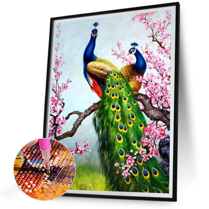 Peacock - Full Round Drill Diamond Painting 30*40CM