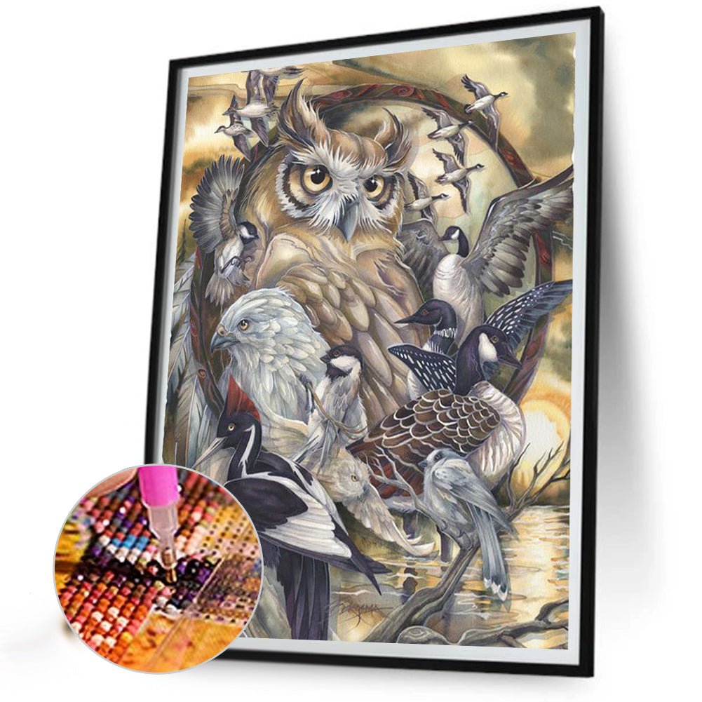 Owl And Bird - Full Square Drill Diamond Painting 40*50CM