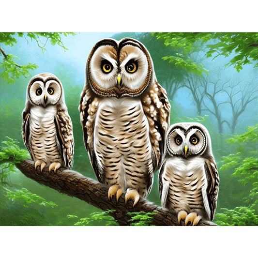 Owl Family - Full Round Drill Diamond Painting 40*30CM