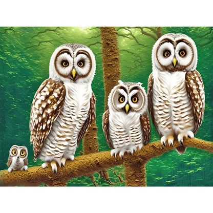 Owl Family - Full Round Drill Diamond Painting 40*30CM