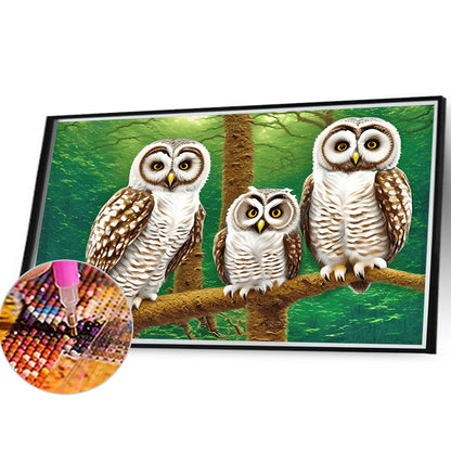 Owl Family - Full Round Drill Diamond Painting 40*30CM