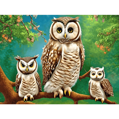 Owl Family - Full Round Drill Diamond Painting 40*30CM
