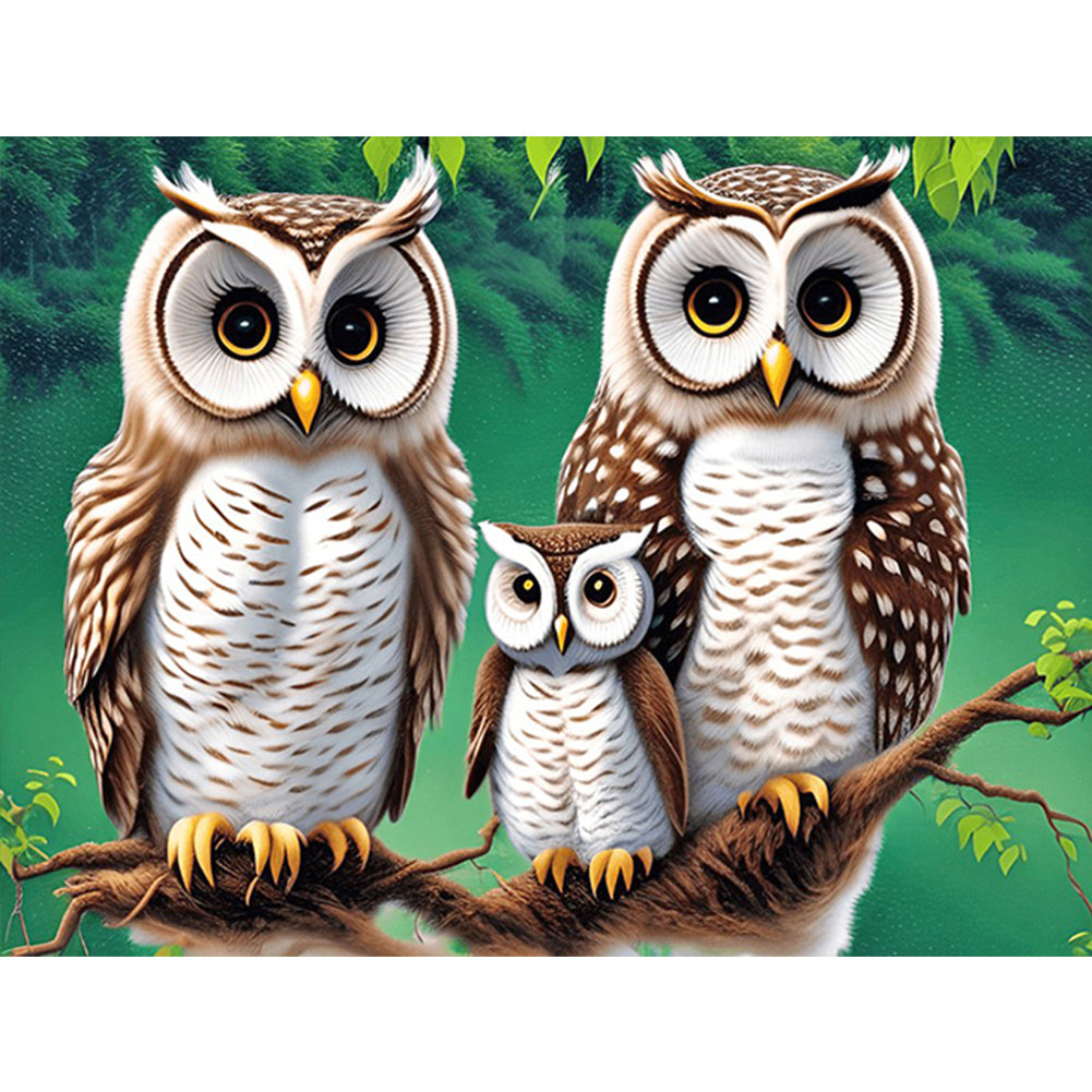 Owl Family - Full Round Drill Diamond Painting 40*30CM