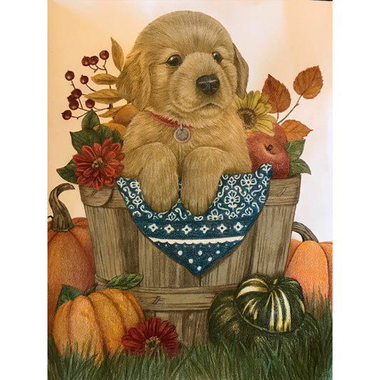 Dog In A Bucket - Full Round Drill Diamond Painting 30*40CM