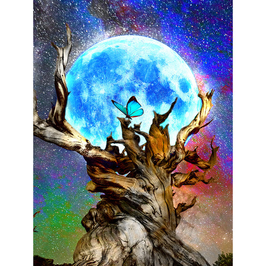 All The Stars Hold The Moon - Full Round Drill Diamond Painting 30*40CM