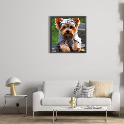 Yorkshire Terrier - Full Round Drill Diamond Painting 30*30CM
