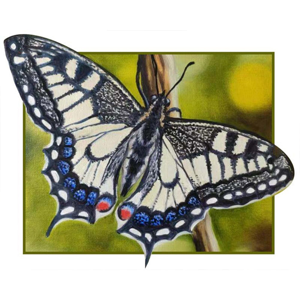 Black And White Butterfly - Full Round Drill Diamond Painting 50*40CM