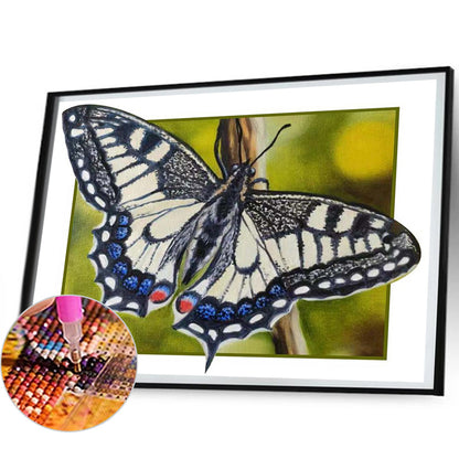 Black And White Butterfly - Full Round Drill Diamond Painting 50*40CM