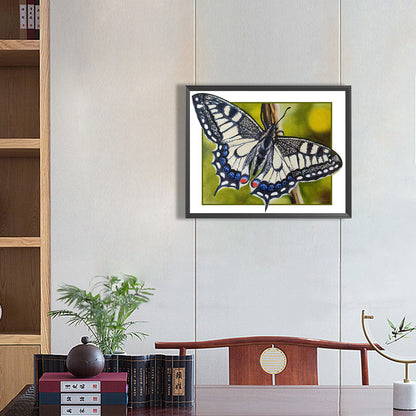 Black And White Butterfly - Full Round Drill Diamond Painting 50*40CM