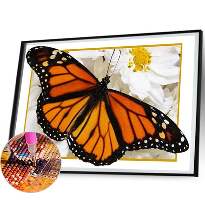 Orange Black Butterfly - Full Round Drill Diamond Painting 50*40CM