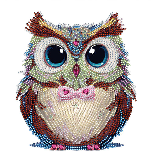 Owl With Flowers - Special Shaped Drill Diamond Painting 30*30CM