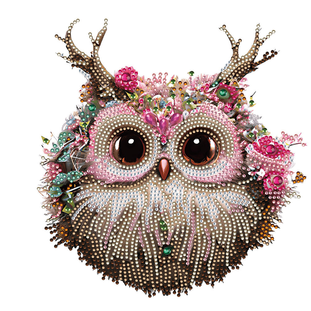 Owl With Flowers - Special Shaped Drill Diamond Painting 30*30CM