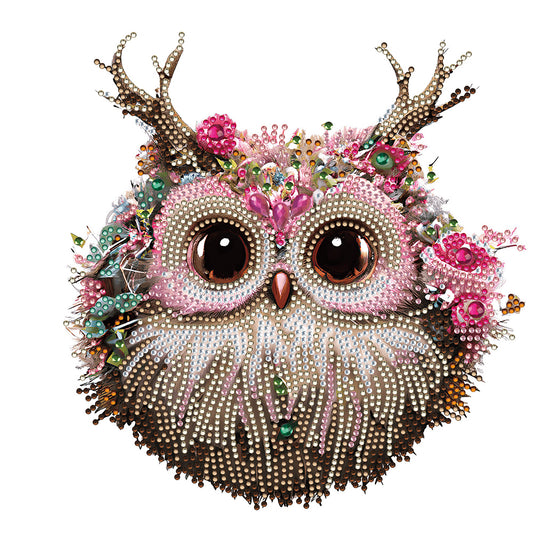 Owl With Flowers - Special Shaped Drill Diamond Painting 30*30CM