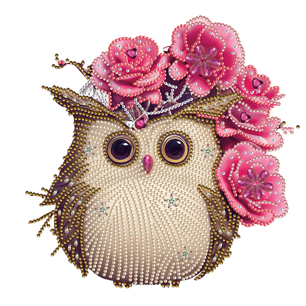 Owl With Flowers - Special Shaped Drill Diamond Painting 30*30CM