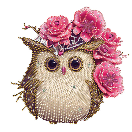 Owl With Flowers - Special Shaped Drill Diamond Painting 30*30CM