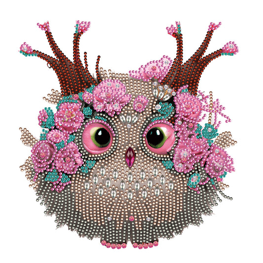 Owl With Flowers - Special Shaped Drill Diamond Painting 30*30CM