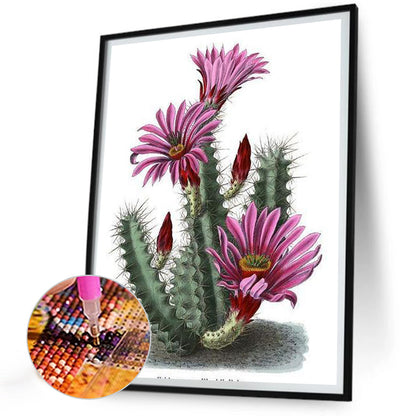 Cactus - Full Round Drill Diamond Painting 30*40CM