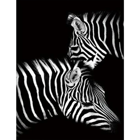 Personality Zebra - Full Round Drill Diamond Painting 50*60CM