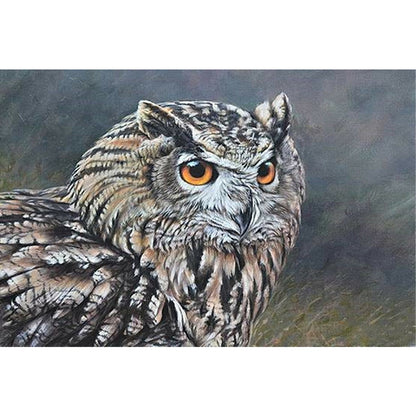 Owl - Full Round Drill Diamond Painting 60*40CM