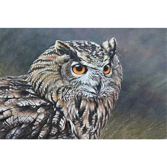 Owl - Full Round Drill Diamond Painting 60*40CM