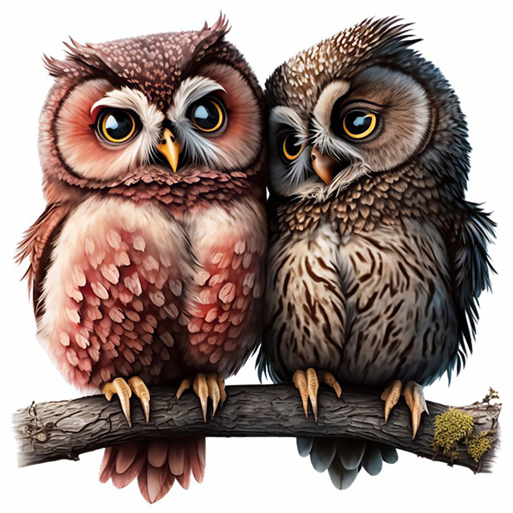Owl - Full Round Drill Diamond Painting 30*30CM