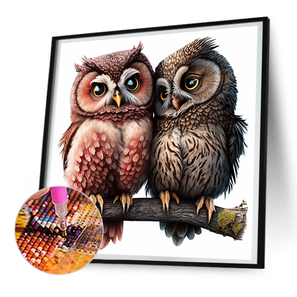 Owl - Full Round Drill Diamond Painting 30*30CM