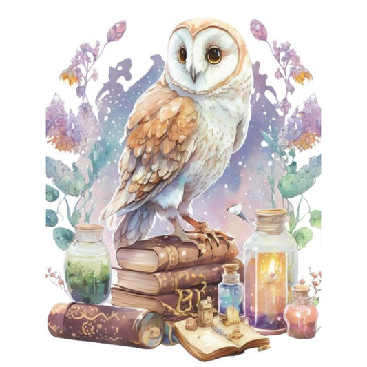 Owl - Full Round Drill Diamond Painting 30*40CM