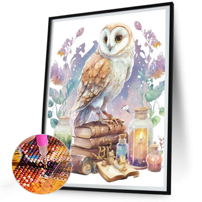 Owl - Full Round Drill Diamond Painting 30*40CM