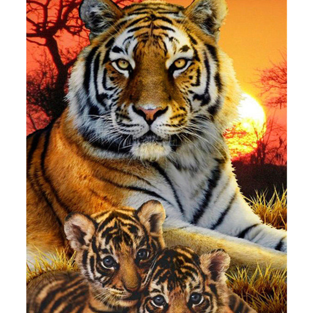 Tiger - Full Square Drill Diamond Painting 50*60CM