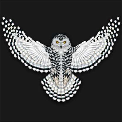 Owl - Full Round Drill Diamond Painting 30*30CM