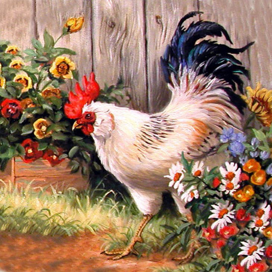 Rooster - Full Round Drill Diamond Painting 30*30CM