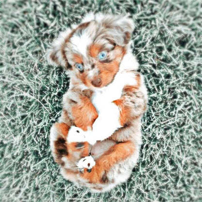 Puppy - Full Round Drill Diamond Painting 30*30CM
