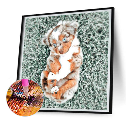 Puppy - Full Round Drill Diamond Painting 30*30CM