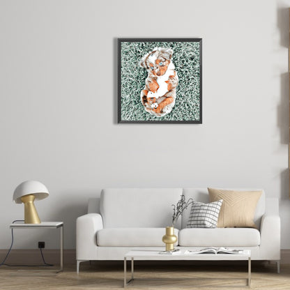 Puppy - Full Round Drill Diamond Painting 30*30CM