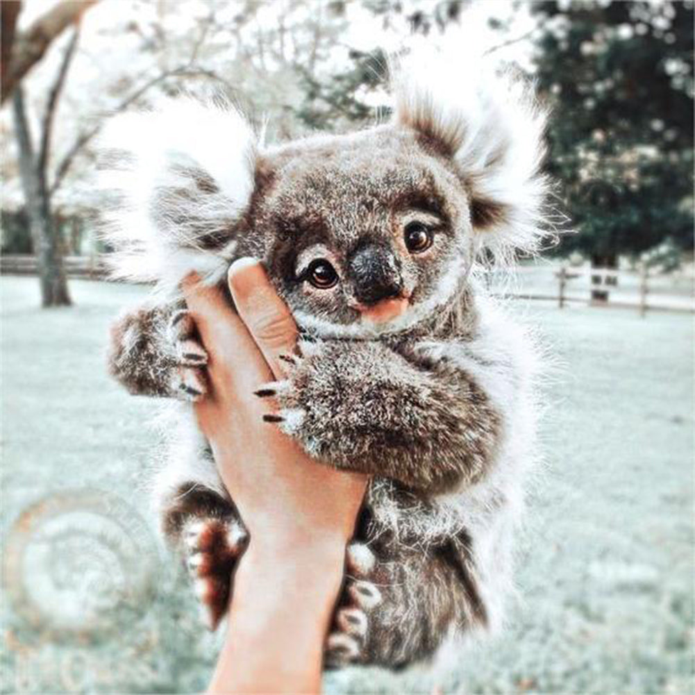 Little Koala - Full Round Drill Diamond Painting 30*30CM