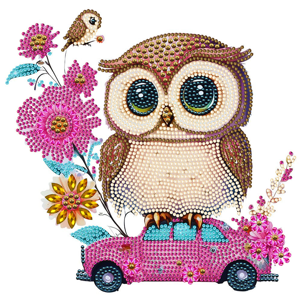 Pink Owl Car - Special Shaped Drill Diamond Painting 30*30CM