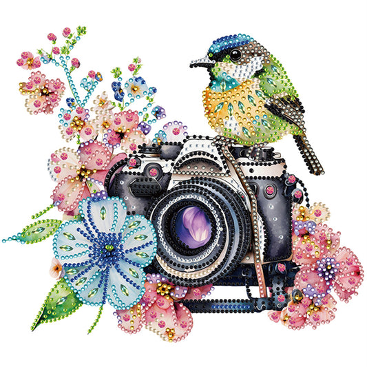 Camera And Bird - Special Shaped Drill Diamond Painting 30*30CM
