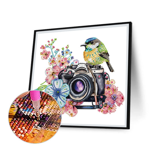 Camera And Bird - Special Shaped Drill Diamond Painting 30*30CM