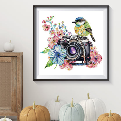 Camera And Bird - Special Shaped Drill Diamond Painting 30*30CM