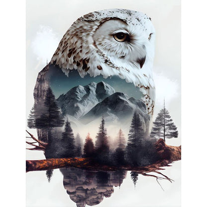 Owl - Full Round Drill Diamond Painting 30*40CM
