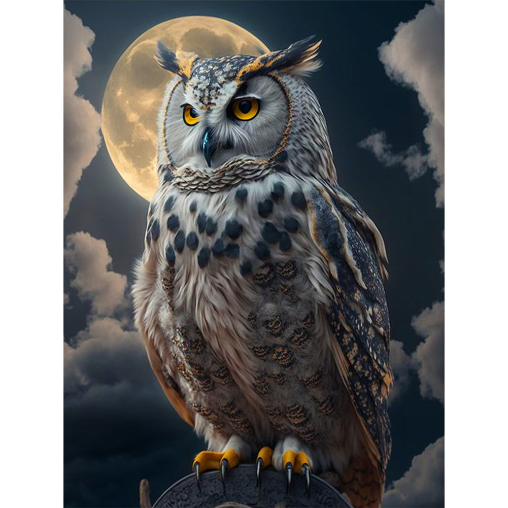Owl - Full Round Drill Diamond Painting 30*40CM