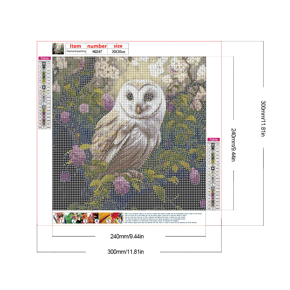 Owl - Full Round Drill Diamond Painting 30*30CM