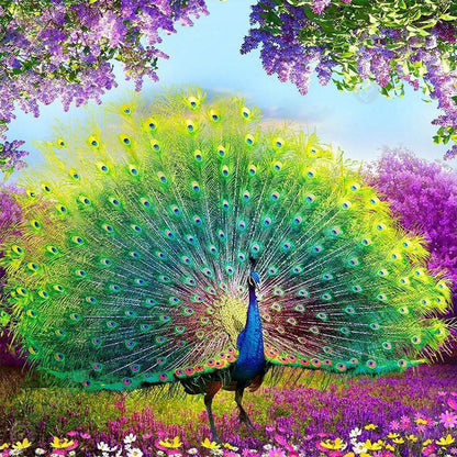 Peacock - Full Round Drill Diamond Painting 40*40CM