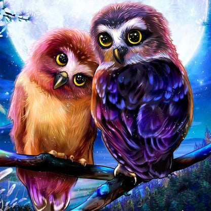 Owl - Full Round Drill Diamond Painting 30*30CM