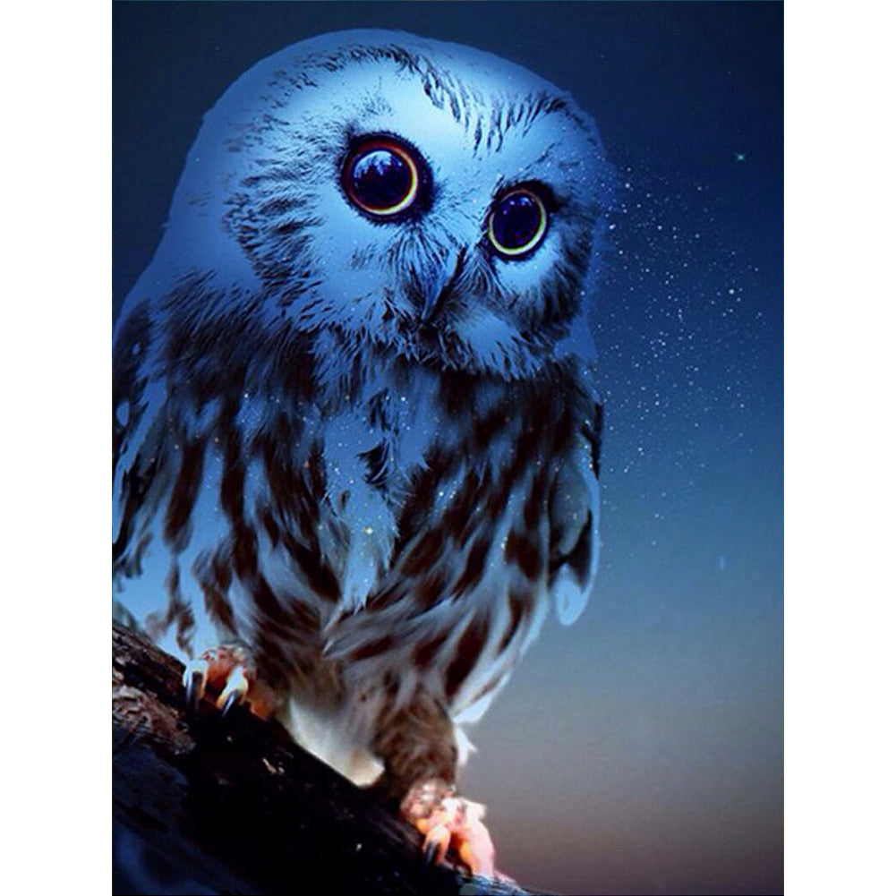 Night Owl - Full Round Drill Diamond Painting 30*40CM