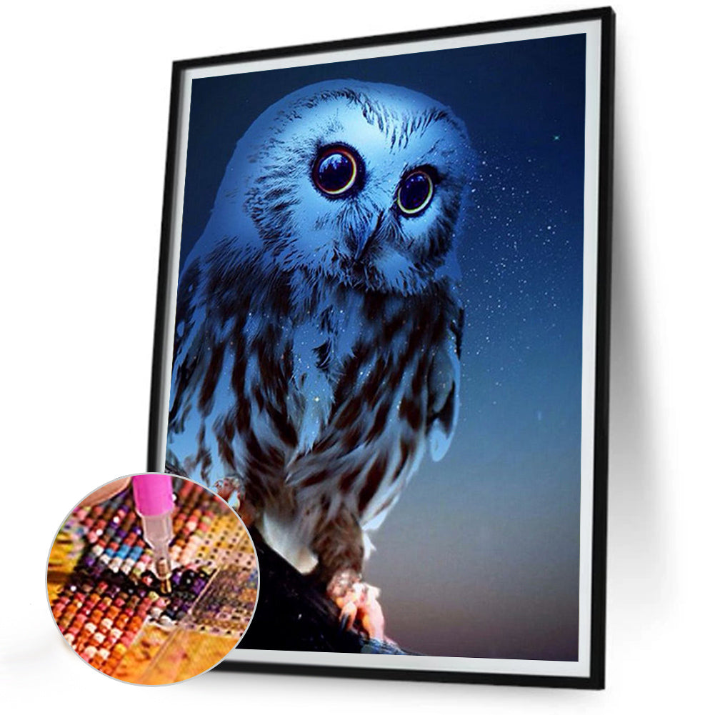 Night Owl - Full Round Drill Diamond Painting 30*40CM