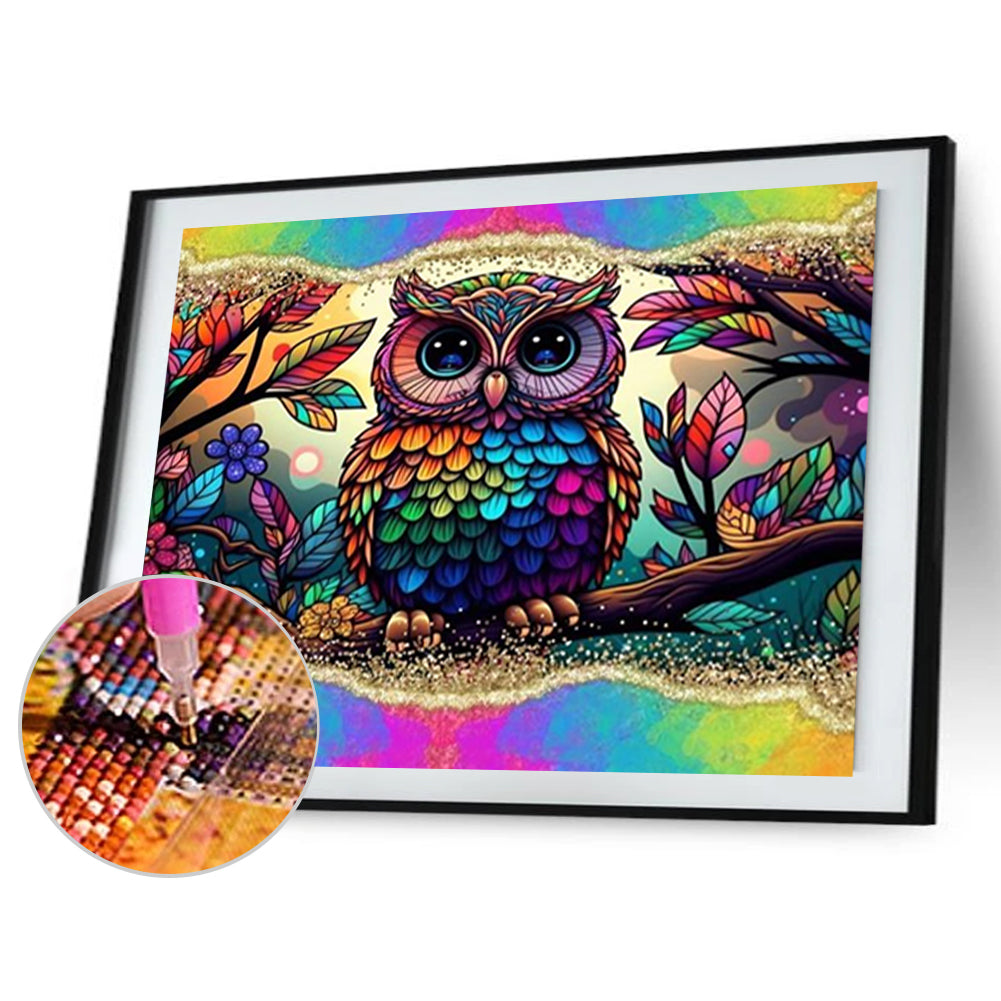 Rainbow Border Owl - Full Round Drill Diamond Painting 40*30CM